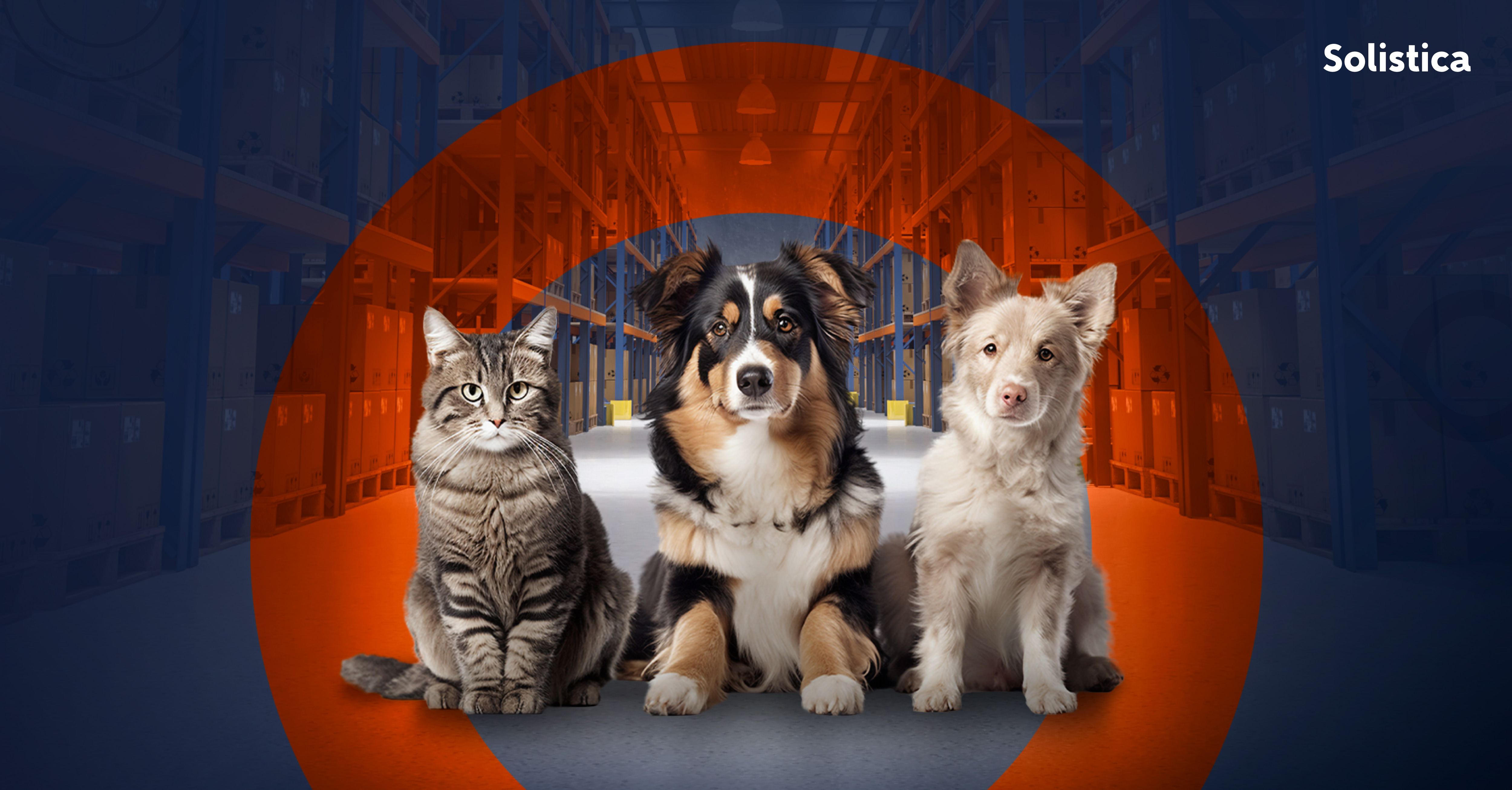 Optimizando la cadena logística en el sector de la salud animal