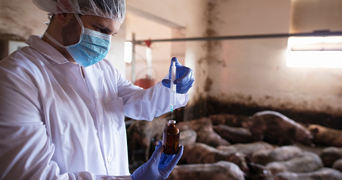 Solistica: soluciones especializadas y de vanguardia para la industria de la salud animal