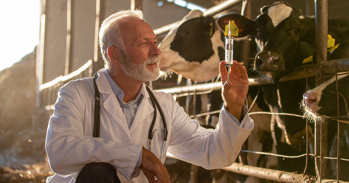Industria veterinaria y su logística hoy